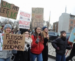 "Wir haben es satt"-Demo, Berlin
